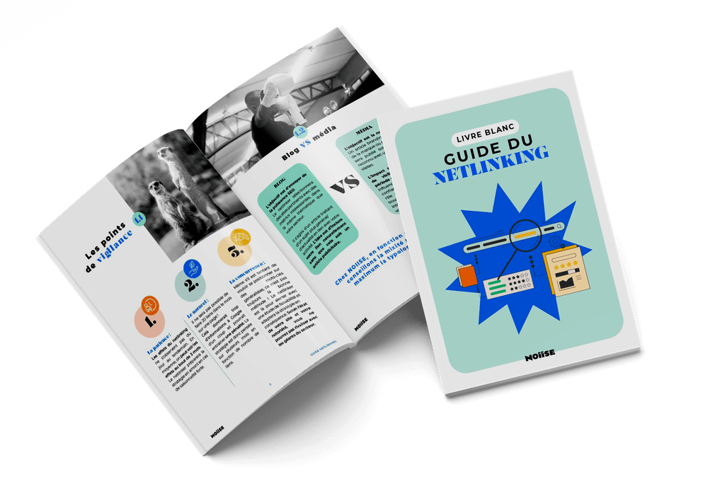 Livre Blanc Guide Netlinking Noiise